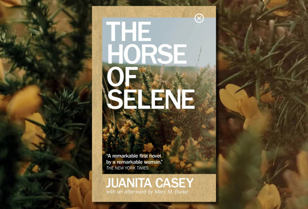 The Horse of Selene – An Irish Fiction Novel by Juanita Casey