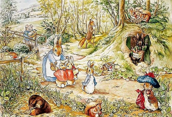 Talk With The Animals