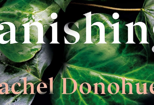 Rachel Donohue: Enticing, Unsettling, Surprising