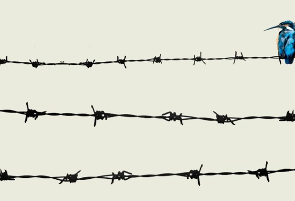 Guest author Hazel Gaynor on the inspiration behind her new novel ‘The Bird in the Bamboo Cage’.