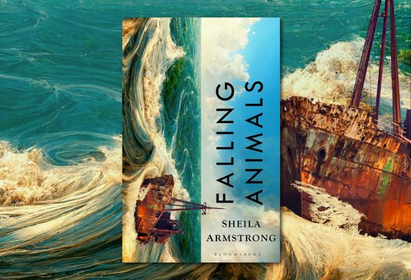 Falling Animals by Sheila Armstrong