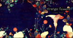 Guest Author: Donal Ryan on Strange Flowers