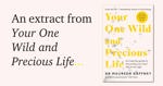 An excerpt from Your One Wild and Precious Life by Maureen Gaffney.