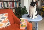 Meet the Author: Frances Macken