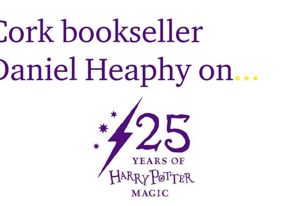 25 Years of Harry Potter by Daniel Heaphy
