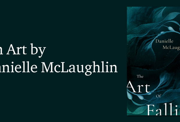 The Art of Falling by Danielle McLaughlin