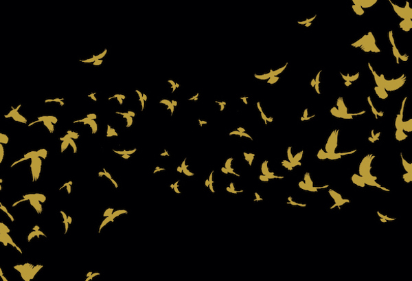 Colum McCann: Bricks on My Shoulders