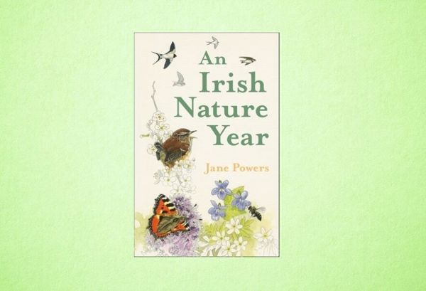 Guest Author: Jane Powers, author of An Irish Nature Year