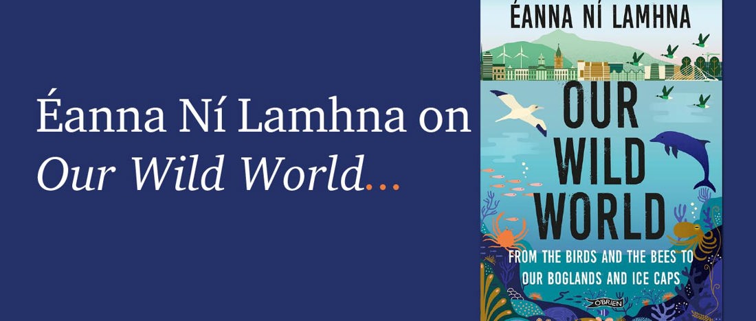 Our Wild World By Éanna Ní Lamhna