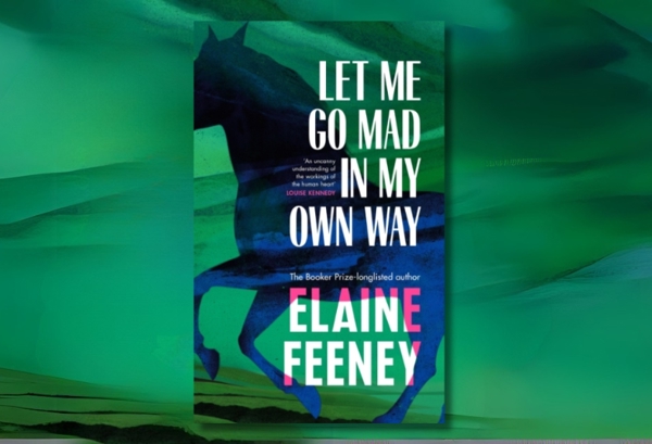 Let Me Go Mad in My Own Way by Elaine Feeney