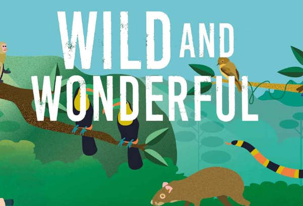 Wild And Wonderful by Éanna Ní Lamhna