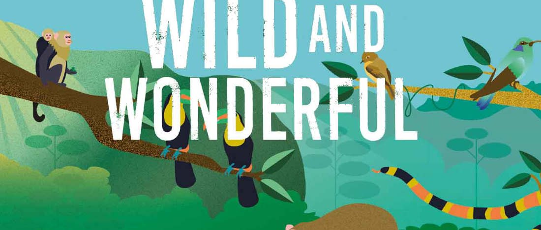 Wild And Wonderful by Éanna Ní Lamhna