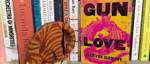Making Sense of the World through Books