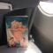 Wildlife by Richard Ford on an airplane table