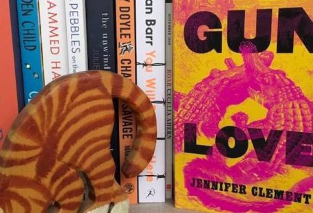 Gun Love, by Jennifer Clement detail