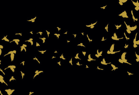 Apeirogon jacket detail