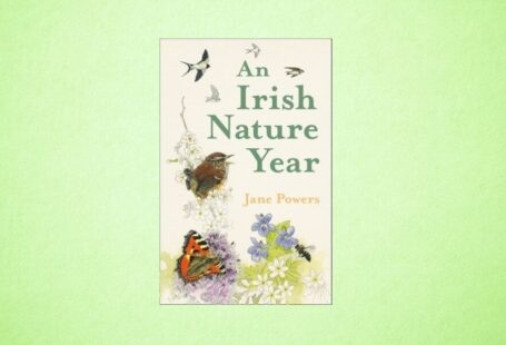an irish nature year