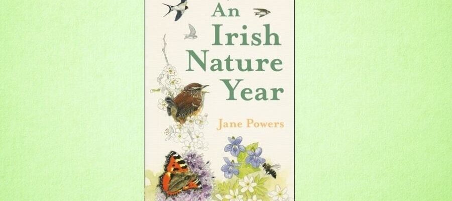 an irish nature year