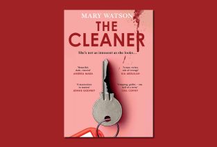The Cleaner Blog Header